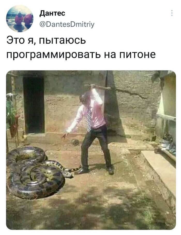 Я программист Пикабу