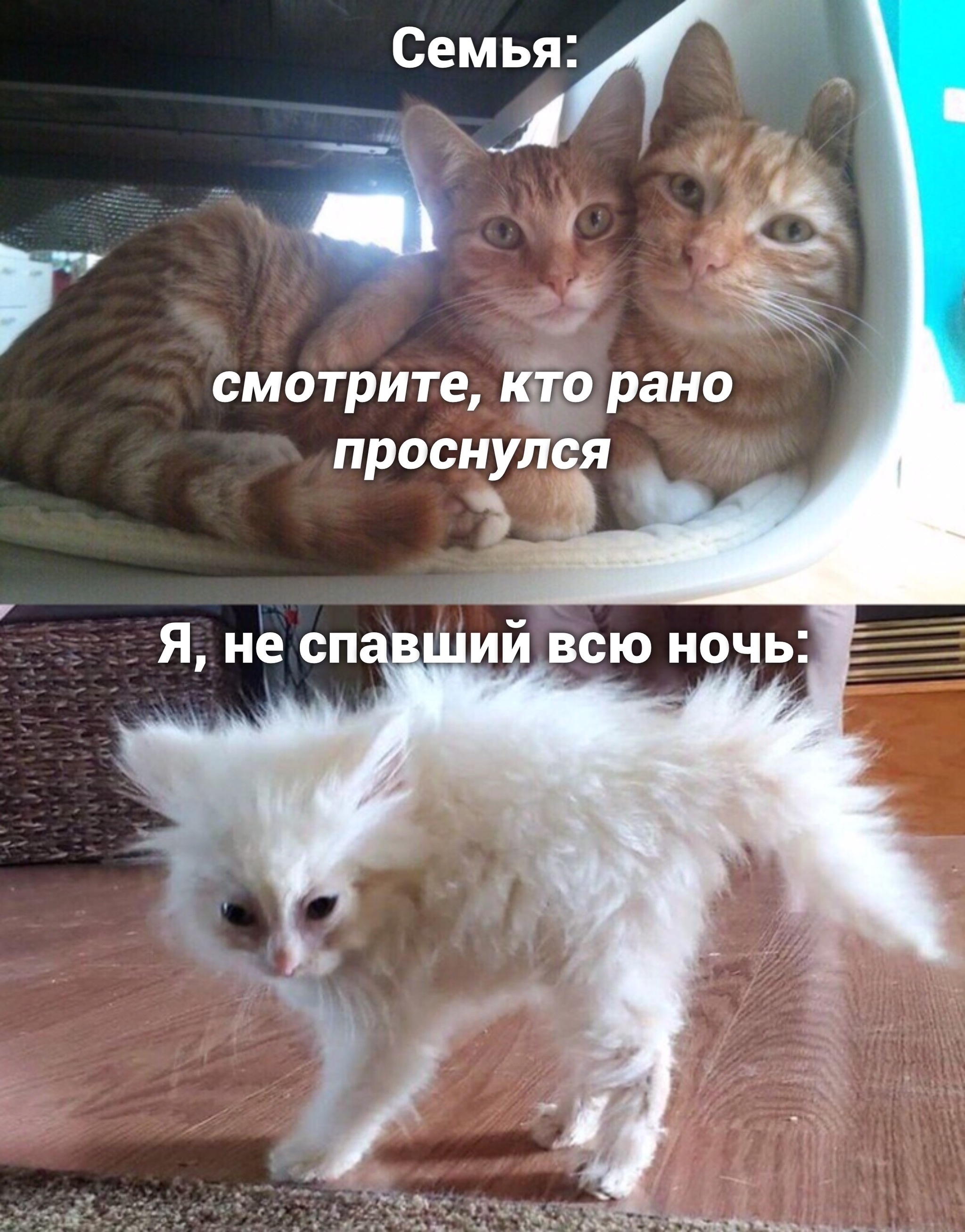   ,.   !