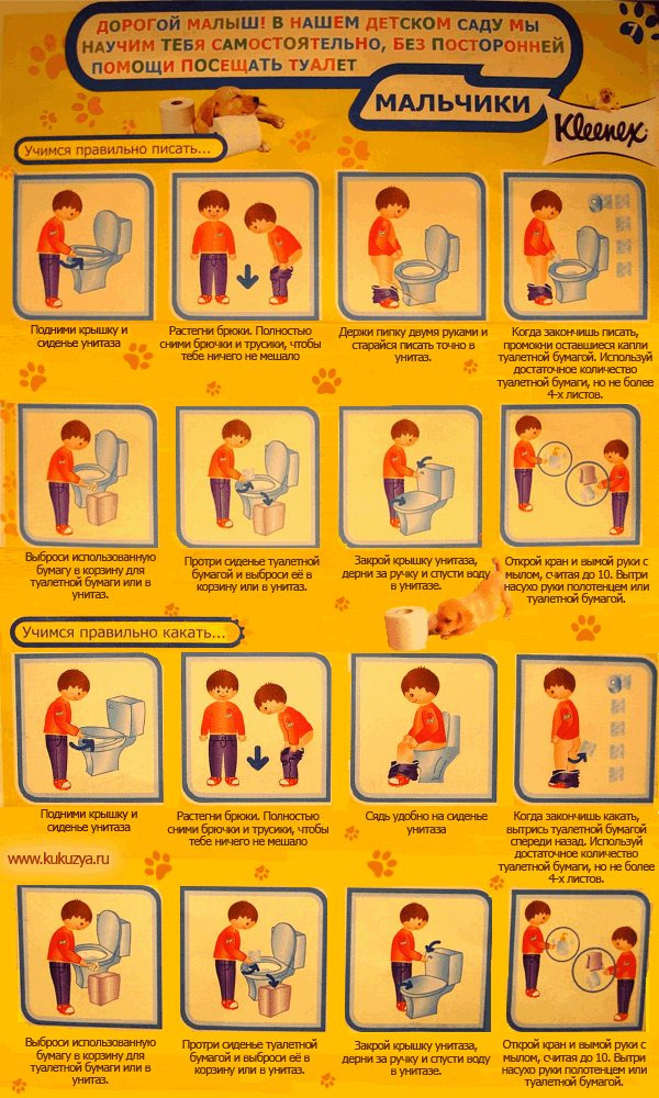 Как правильно пописать. Правила пользования туалетом для детей. Алгоритм посещения туалета. Алгоритм пользования туалетной бумагой. Плакат Учимся правильно какать.