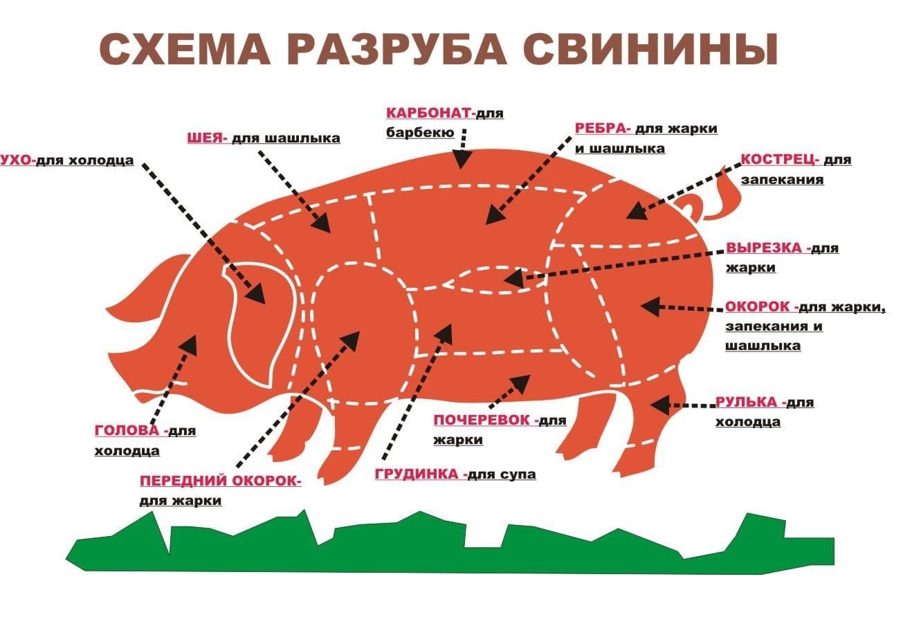 Буженина по ГОСТ 1748-85 | Пикабу