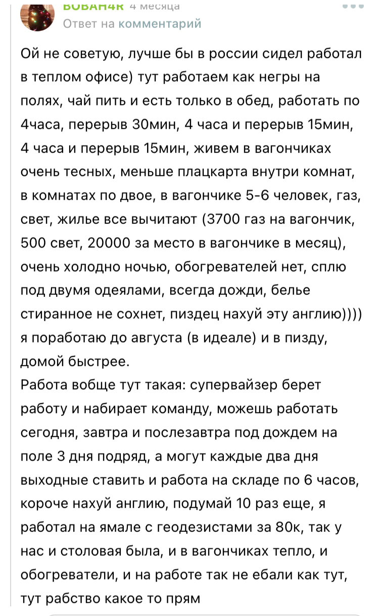 Пост о работе на ферме в англии, по просьбам | Пикабу