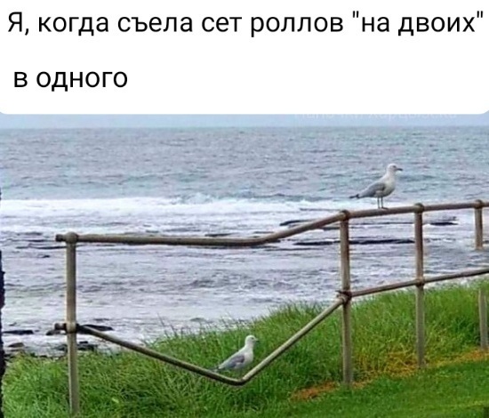 Сила характера | Пикабу