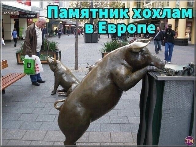 https://cs12.pikabu.ru/images/big_size_comm/2022-04_2/1649515125134380986.jpg