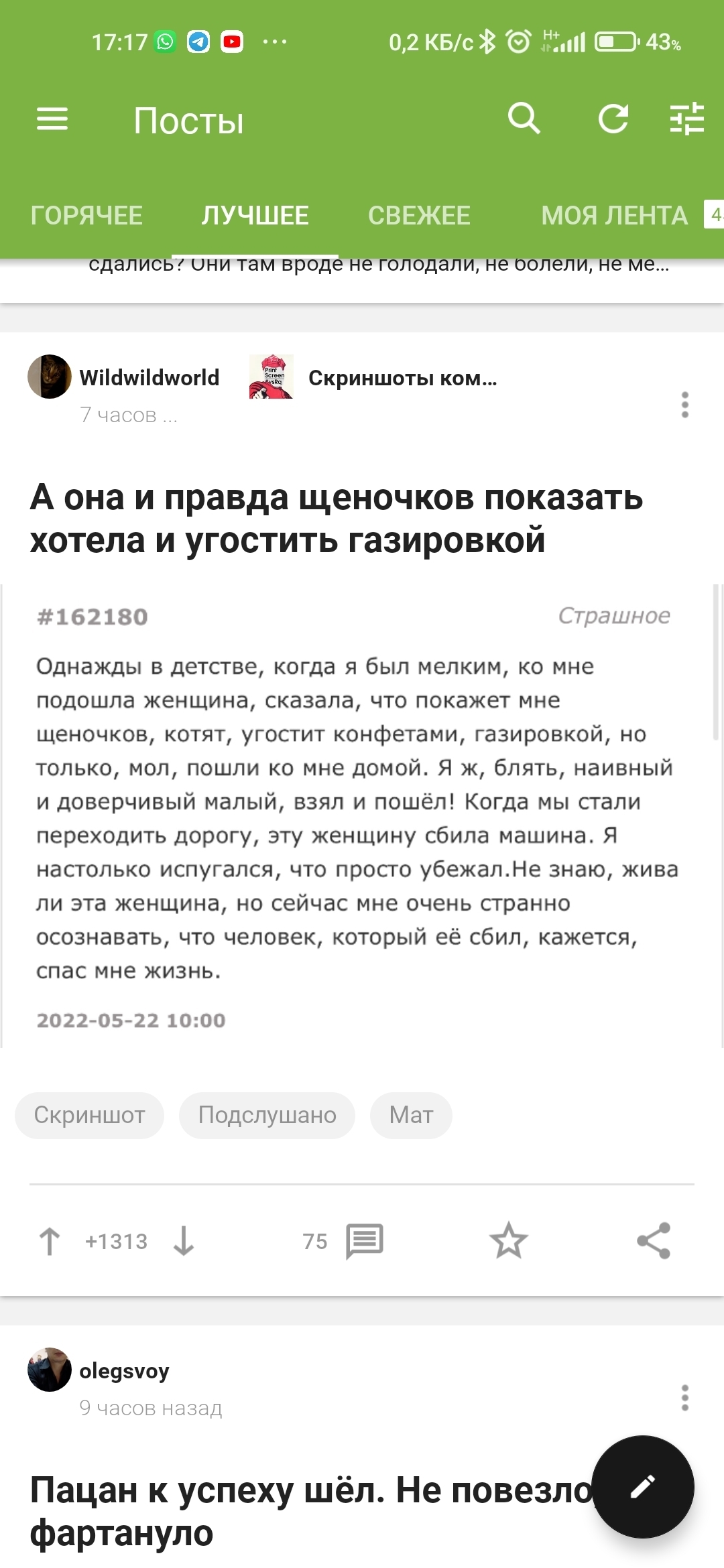 А она и правда щеночков показать хотела и угостить газировкой | Пикабу