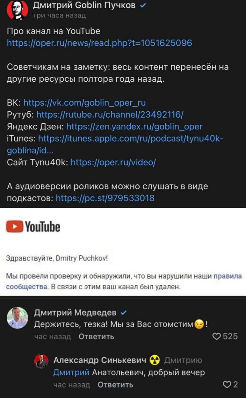 Дмитрий Пучков подтвердил РБК, что его YouTube-канал был удален | Пикабу