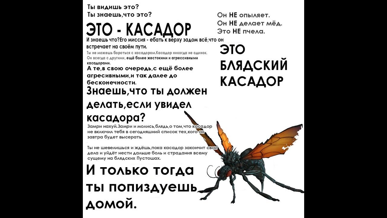 Ответ на пост «Как шершни строят свой дом в моём садовом домике» | Пикабу