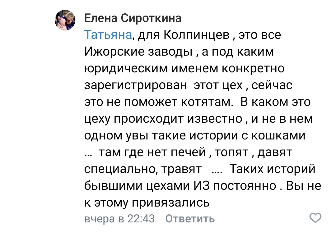 Ответ на пост «12 котят (1.5 месяца) на Ижорском заводе в горячем цеху.  Начальство приказало сжечь в печи. ОНИ ТАК УЖЕ ДЕЛАЛИ. Колпино» | Пикабу