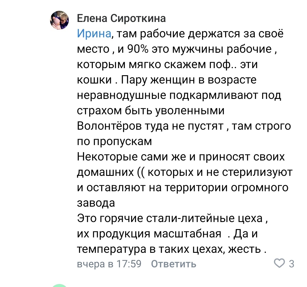 Ответ на пост «12 котят (1.5 месяца) на Ижорском заводе в горячем цеху.  Начальство приказало сжечь в печи. ОНИ ТАК УЖЕ ДЕЛАЛИ. Колпино» | Пикабу