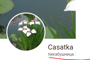 Иллюстрация к комментарию