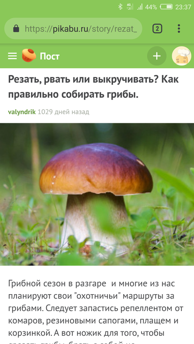 Иллюстрация к комментарию