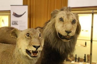 скажи пожалуйста как меня зовут. Смотреть фото скажи пожалуйста как меня зовут. Смотреть картинку скажи пожалуйста как меня зовут. Картинка про скажи пожалуйста как меня зовут. Фото скажи пожалуйста как меня зовут скажи пожалуйста как меня зовут. Смотреть фото скажи пожалуйста как меня зовут. Смотреть картинку скажи пожалуйста как меня зовут. Картинка про скажи пожалуйста как меня зовут. Фото скажи пожалуйста как меня зовут