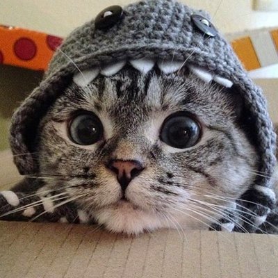 Π»ΡΡΡΠΈΠ΅ ΡΠΎΡΠ΅ΡΠ°Π½ΠΈΡ ΡΠΊΠΈΠ½ΠΎΠ² ΠΈ Π½Π°ΠΊΠ»Π΅Π΅ΠΊ. Π‘ΠΌΠΎΡΡΠ΅ΡΡ ΡΠΎΡΠΎ Π»ΡΡΡΠΈΠ΅ ΡΠΎΡΠ΅ΡΠ°Π½ΠΈΡ ΡΠΊΠΈΠ½ΠΎΠ² ΠΈ Π½Π°ΠΊΠ»Π΅Π΅ΠΊ. Π‘ΠΌΠΎΡΡΠ΅ΡΡ ΠΊΠ°ΡΡΠΈΠ½ΠΊΡ Π»ΡΡΡΠΈΠ΅ ΡΠΎΡΠ΅ΡΠ°Π½ΠΈΡ ΡΠΊΠΈΠ½ΠΎΠ² ΠΈ Π½Π°ΠΊΠ»Π΅Π΅ΠΊ. ΠΠ°ΡΡΠΈΠ½ΠΊΠ° ΠΏΡΠΎ Π»ΡΡΡΠΈΠ΅ ΡΠΎΡΠ΅ΡΠ°Π½ΠΈΡ ΡΠΊΠΈΠ½ΠΎΠ² ΠΈ Π½Π°ΠΊΠ»Π΅Π΅ΠΊ. Π€ΠΎΡΠΎ Π»ΡΡΡΠΈΠ΅ ΡΠΎΡΠ΅ΡΠ°Π½ΠΈΡ ΡΠΊΠΈΠ½ΠΎΠ² ΠΈ Π½Π°ΠΊΠ»Π΅Π΅ΠΊ Π»ΡΡΡΠΈΠ΅ ΡΠΎΡΠ΅ΡΠ°Π½ΠΈΡ ΡΠΊΠΈΠ½ΠΎΠ² ΠΈ Π½Π°ΠΊΠ»Π΅Π΅ΠΊ. Π‘ΠΌΠΎΡΡΠ΅ΡΡ ΡΠΎΡΠΎ Π»ΡΡΡΠΈΠ΅ ΡΠΎΡΠ΅ΡΠ°Π½ΠΈΡ ΡΠΊΠΈΠ½ΠΎΠ² ΠΈ Π½Π°ΠΊΠ»Π΅Π΅ΠΊ. Π‘ΠΌΠΎΡΡΠ΅ΡΡ ΠΊΠ°ΡΡΠΈΠ½ΠΊΡ Π»ΡΡΡΠΈΠ΅ ΡΠΎΡΠ΅ΡΠ°Π½ΠΈΡ ΡΠΊΠΈΠ½ΠΎΠ² ΠΈ Π½Π°ΠΊΠ»Π΅Π΅ΠΊ. ΠΠ°ΡΡΠΈΠ½ΠΊΠ° ΠΏΡΠΎ Π»ΡΡΡΠΈΠ΅ ΡΠΎΡΠ΅ΡΠ°Π½ΠΈΡ ΡΠΊΠΈΠ½ΠΎΠ² ΠΈ Π½Π°ΠΊΠ»Π΅Π΅ΠΊ. Π€ΠΎΡΠΎ Π»ΡΡΡΠΈΠ΅ ΡΠΎΡΠ΅ΡΠ°Π½ΠΈΡ ΡΠΊΠΈΠ½ΠΎΠ² ΠΈ Π½Π°ΠΊΠ»Π΅Π΅ΠΊ