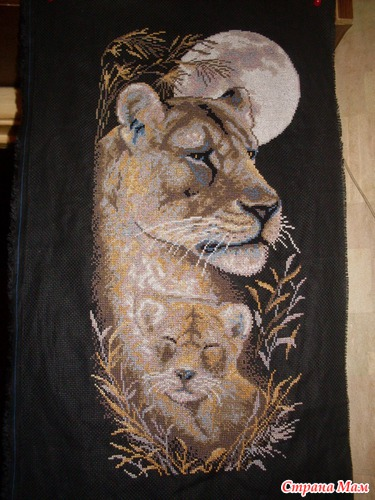 Иллюстрация к комментарию