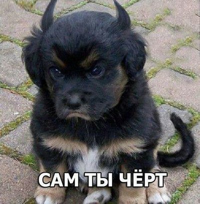 Что вы делали я чертила. Смотреть фото Что вы делали я чертила. Смотреть картинку Что вы делали я чертила. Картинка про Что вы делали я чертила. Фото Что вы делали я чертила
