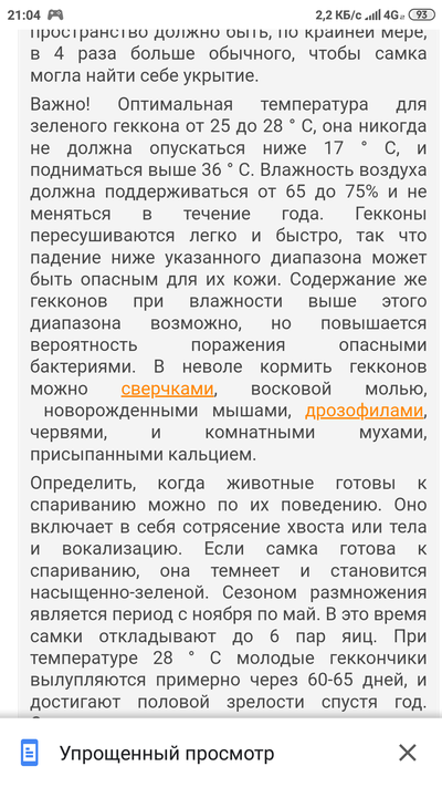 Можно ли завести черепаху если есть кошка