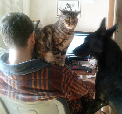 Иллюстрация к комментарию