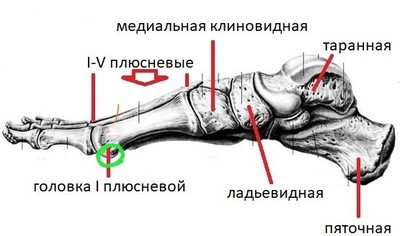 Как называется передняя часть ступни. 1577603097145985522. Как называется передняя часть ступни фото. Как называется передняя часть ступни-1577603097145985522. картинка Как называется передняя часть ступни. картинка 1577603097145985522