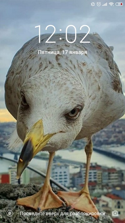 Так блэт не понял. Смотреть фото Так блэт не понял. Смотреть картинку Так блэт не понял. Картинка про Так блэт не понял. Фото Так блэт не понял