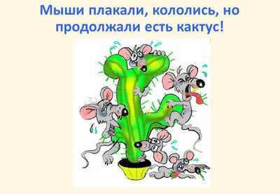 что такое рутуб и как им пользоваться. Смотреть фото что такое рутуб и как им пользоваться. Смотреть картинку что такое рутуб и как им пользоваться. Картинка про что такое рутуб и как им пользоваться. Фото что такое рутуб и как им пользоваться