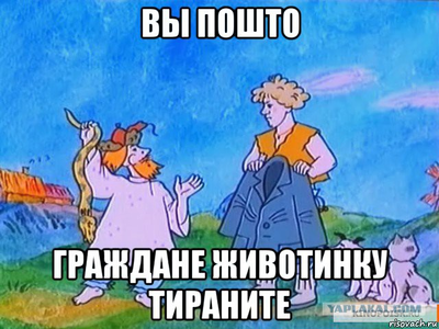 Иллюстрация к комментарию