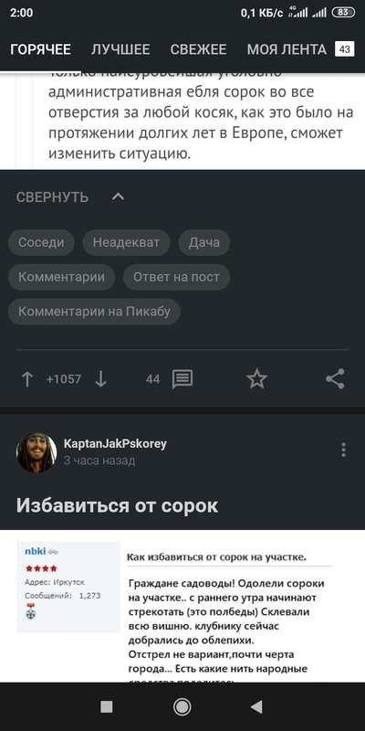чем потравить сорок на участке. Смотреть фото чем потравить сорок на участке. Смотреть картинку чем потравить сорок на участке. Картинка про чем потравить сорок на участке. Фото чем потравить сорок на участке