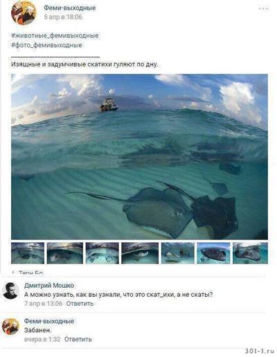 Иллюстрация к комментарию