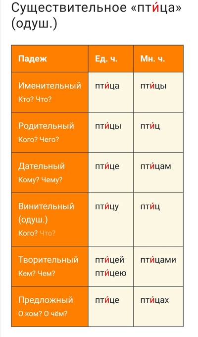 Иллюстрация к комментарию