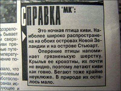 у какого животного самые большие яйца. 160637602817796845. у какого животного самые большие яйца фото. у какого животного самые большие яйца-160637602817796845. картинка у какого животного самые большие яйца. картинка 160637602817796845
