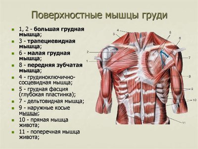 что такое алмазные отжимания. Смотреть фото что такое алмазные отжимания. Смотреть картинку что такое алмазные отжимания. Картинка про что такое алмазные отжимания. Фото что такое алмазные отжимания