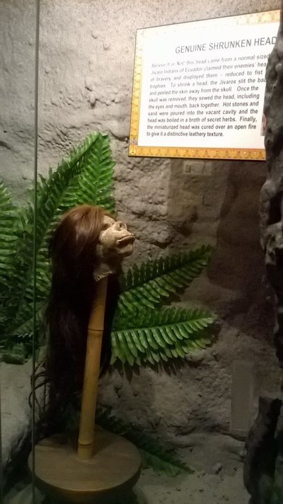 рыба в шубе живая. Смотреть фото рыба в шубе живая. Смотреть картинку рыба в шубе живая. Картинка про рыба в шубе живая. Фото рыба в шубе живая рыба в шубе живая. Смотреть фото рыба в шубе живая. Смотреть картинку рыба в шубе живая. Картинка про рыба в шубе живая. Фото рыба в шубе живая