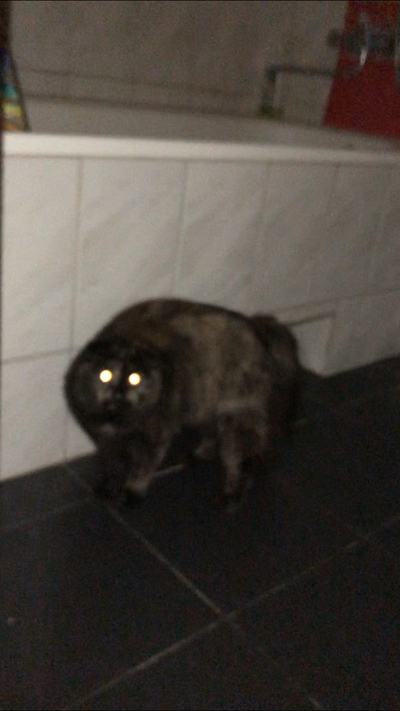 Как сделать костюм дикобраза