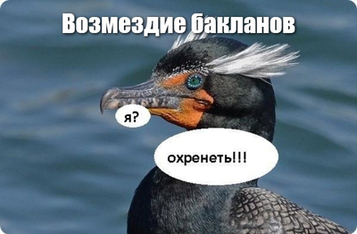 Квартирант оставил вещи и пропал что делать. Смотреть фото Квартирант оставил вещи и пропал что делать. Смотреть картинку Квартирант оставил вещи и пропал что делать. Картинка про Квартирант оставил вещи и пропал что делать. Фото Квартирант оставил вещи и пропал что делать