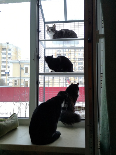 ����������� � �����������