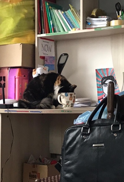 аниме что делают коты когда нас нет дома. Смотреть фото аниме что делают коты когда нас нет дома. Смотреть картинку аниме что делают коты когда нас нет дома. Картинка про аниме что делают коты когда нас нет дома. Фото аниме что делают коты когда нас нет дома аниме что делают коты когда нас нет дома. Смотреть фото аниме что делают коты когда нас нет дома. Смотреть картинку аниме что делают коты когда нас нет дома. Картинка про аниме что делают коты когда нас нет дома. Фото аниме что делают коты когда нас нет дома