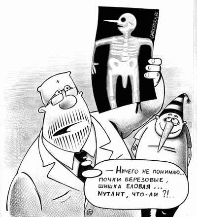 скелет рыбы на тарелке. Смотреть фото скелет рыбы на тарелке. Смотреть картинку скелет рыбы на тарелке. Картинка про скелет рыбы на тарелке. Фото скелет рыбы на тарелке скелет рыбы на тарелке. Смотреть фото скелет рыбы на тарелке. Смотреть картинку скелет рыбы на тарелке. Картинка про скелет рыбы на тарелке. Фото скелет рыбы на тарелке