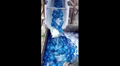 ой блин извини пожалуйста медуза. Смотреть фото ой блин извини пожалуйста медуза. Смотреть картинку ой блин извини пожалуйста медуза. Картинка про ой блин извини пожалуйста медуза. Фото ой блин извини пожалуйста медуза