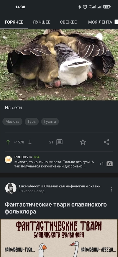 ����������� � �����������