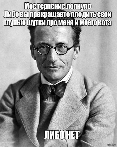 выходные шредингера что это. Смотреть фото выходные шредингера что это. Смотреть картинку выходные шредингера что это. Картинка про выходные шредингера что это. Фото выходные шредингера что это