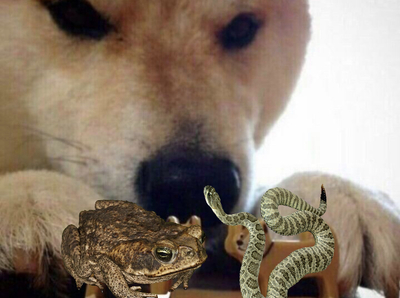 1627141287124666826 мама я не зигую что это значит