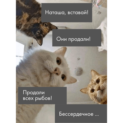 страдающее средневековье мем с яйцами. 162767461518796320. страдающее средневековье мем с яйцами фото. страдающее средневековье мем с яйцами-162767461518796320. картинка страдающее средневековье мем с яйцами. картинка 162767461518796320. Если вы уже знакомы со "страдающим средневековьем", то можно этот пост пропустить. Однако если вы как и я не знали о нем, то вам повезло)Началась эта история несколько лет назад в ВШЭ на парах по медиевистике(где изучают европейское Средневековые), когда двое студентов, Юра Сапрыкин и КостяМефтахудинов заметили, что на всех иллюстрациях того периода героинепременно «страдают») Ребята решили создать паблик в ВК,где мематизировали средневековыеиллюстрации, добавляя к ним современные подписи.Паблик быстро набрал популярность, а ребята смекнули и начали монетизировать«Страдающее Средневековье» (не зря же в Высшей школе экономики учились), выпуская значки, носки и прочий мерч, а также популярную настольную игру)