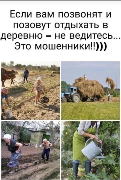 с днем кабачка мем. Смотреть фото с днем кабачка мем. Смотреть картинку с днем кабачка мем. Картинка про с днем кабачка мем. Фото с днем кабачка мем