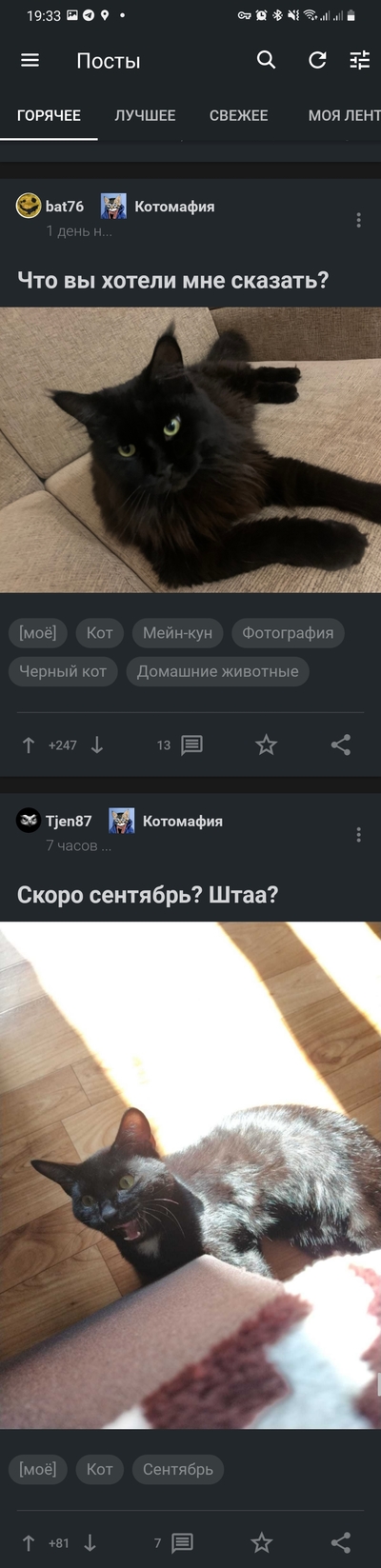 ����������� � �����������