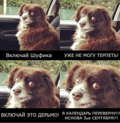 Что значит фраза держите меня семеро. Смотреть фото Что значит фраза держите меня семеро. Смотреть картинку Что значит фраза держите меня семеро. Картинка про Что значит фраза держите меня семеро. Фото Что значит фраза держите меня семеро