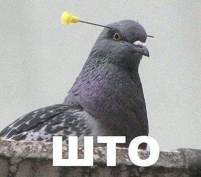 бро так не шутят. Смотреть фото бро так не шутят. Смотреть картинку бро так не шутят. Картинка про бро так не шутят. Фото бро так не шутят