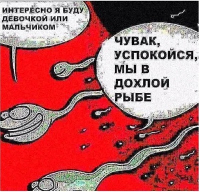 Хорошо что я тебя не съела. Смотреть фото Хорошо что я тебя не съела. Смотреть картинку Хорошо что я тебя не съела. Картинка про Хорошо что я тебя не съела. Фото Хорошо что я тебя не съела