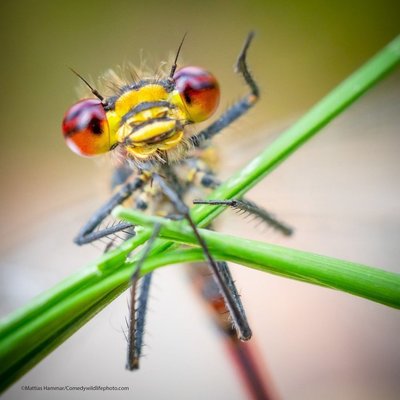 можете за меня порадоваться. Смотреть фото можете за меня порадоваться. Смотреть картинку можете за меня порадоваться. Картинка про можете за меня порадоваться. Фото можете за меня порадоваться