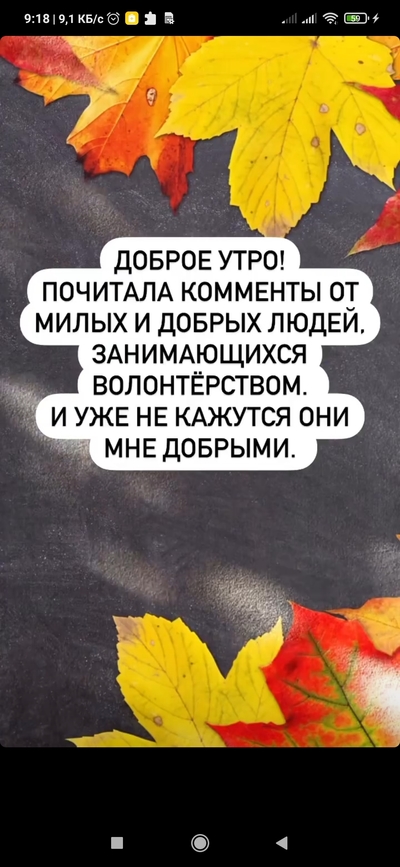 такая собака умеет находить потерянные вещи 6. Смотреть фото такая собака умеет находить потерянные вещи 6. Смотреть картинку такая собака умеет находить потерянные вещи 6. Картинка про такая собака умеет находить потерянные вещи 6. Фото такая собака умеет находить потерянные вещи 6