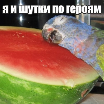 Ожидание vs реальность что. Смотреть фото Ожидание vs реальность что. Смотреть картинку Ожидание vs реальность что. Картинка про Ожидание vs реальность что. Фото Ожидание vs реальность что