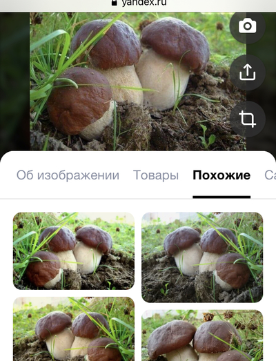 не обижайте толстяков однажды они могут спасти вам жизнь. Смотреть фото не обижайте толстяков однажды они могут спасти вам жизнь. Смотреть картинку не обижайте толстяков однажды они могут спасти вам жизнь. Картинка про не обижайте толстяков однажды они могут спасти вам жизнь. Фото не обижайте толстяков однажды они могут спасти вам жизнь