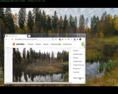 ����������� � �����������